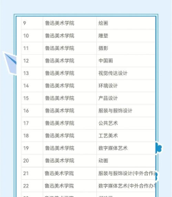 2024年鲁美各专业排名小圈