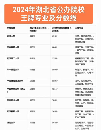 2024年湖北高校王牌专业排名
