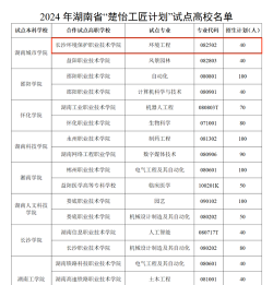 2024年湖南院校环保专业排名