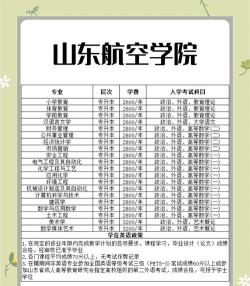 2024年山东飞机专业排名大学