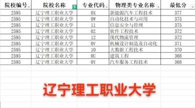 2024年辽宁理工主要学什么专业