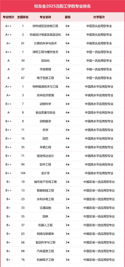 2025年沈阳工程专业排名