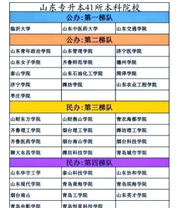 2024山东高校各个专业排名