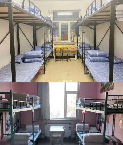 2024年大专学什么专业寝室好