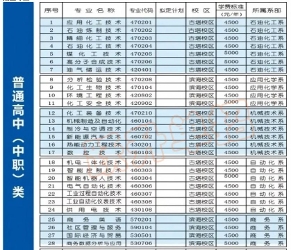 2024年辽石化适合女生的专业