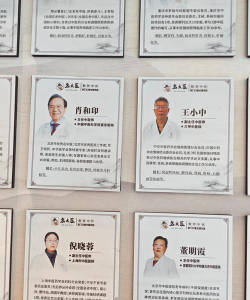 2024专业脾胃调理专家排名