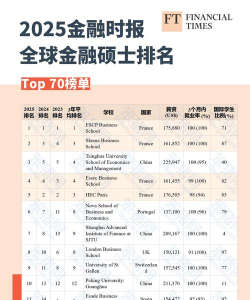 2025年ft细分专业排名