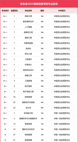 2025年湖南信息专业排名