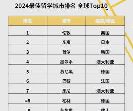 2024年不同专业的城市排名