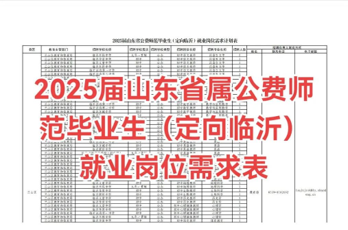 2024年回临沂就业