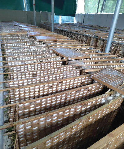 2024年养蚕专业全国排名多少