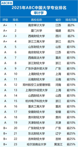 2025年最好的审计专业排名