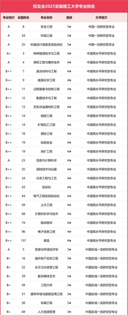 2025年安理工各专业排名