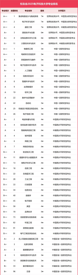 2025年电子分什么专业排名