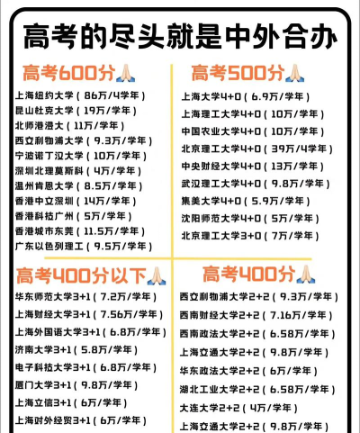 2025年合作办学专业院校排名