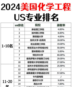 2024年化学和工程专业大学排名