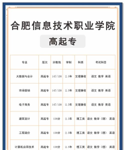 2024年合肥信息技术专业排名榜