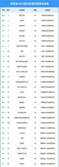 2024武汉民办专业院校排名