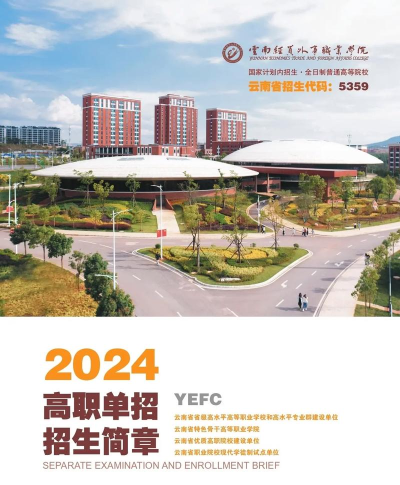 云南经贸外事学院2024年招生要求