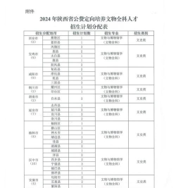 陕西文物保护专修学院2024年分数线是多少