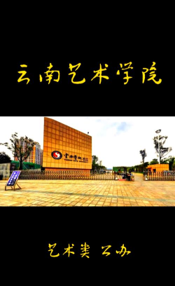 云南艺术学院口碑怎么样好就业吗