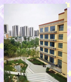 2024年崇左职业学校有哪些