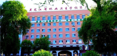 2024年佳木斯公办卫生学校有哪些