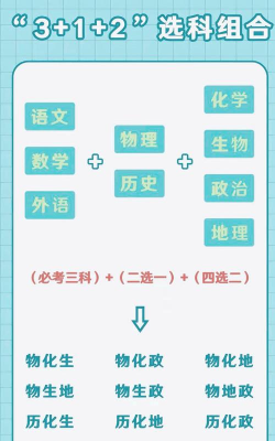 新高考312怎么选