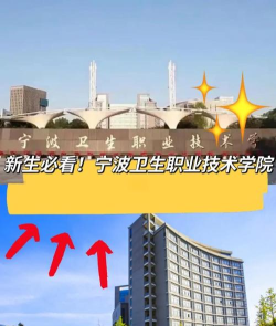 2024年杭州公办护理学校有哪些