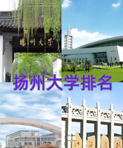 扬州大学是什么档次