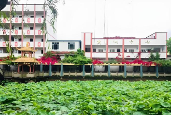 2024年合江县先市职业高级中学校开设有哪些专业 2024年合江县先市职业高级中学校开设有哪些专业