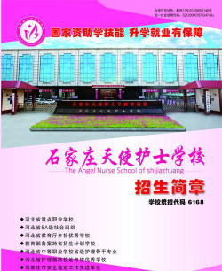 2024年石家庄天使护士学校招生专业有哪些 2024年石家庄天使护士学校招生专业有哪些