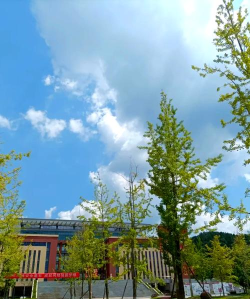 成都市护理学校推荐 成都市护理学校推荐