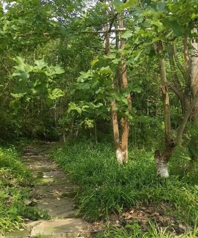 江油市幼儿师范学校毕业后分配工作吗 江油市幼儿师范学校毕业后分配工作吗