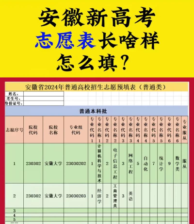 2024填志愿怎么填比较稳 2024填志愿怎么填比较稳