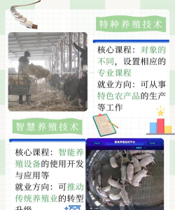 特种动物养殖技术专业主要学什么 特种动物养殖技术专业主要学什么