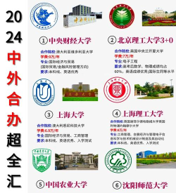 2024中外合作办学开设安全工程专业的学校有哪些 2024中外合作办学开设安全工程专业的学校有哪些