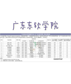 2024广东东软学院中外合作办学学费 2024广东东软学院中外合作办学学费