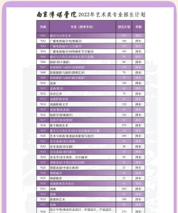 2024南京传媒学院中外合作办学学费 2024南京传媒学院中外合作办学学费