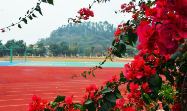 均安职业技术学校在哪里 均安职业技术学校在哪里