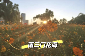 2024华中科技大学留学去向 2024华中科技大学留学去向