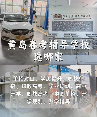 2025青岛春季高考有哪些培训学校 2025青岛春季高考有哪些培训学校