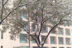 天水农业学校2024年报名一年多少学费 天水农业学校2024年报名一年多少学费