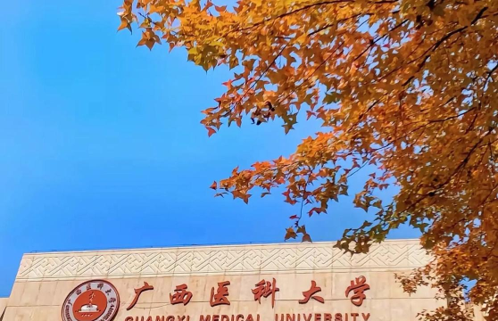 广西医科大学公共事业管理中外合作好吗 广西医科大学公共事业管理中外合作好吗