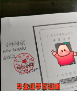 中专毕业的我如何上大专 中专毕业的我如何上大专