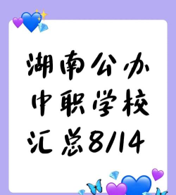 娄底有哪些省示范性职业中专学校 娄底有哪些省示范性职业中专学校