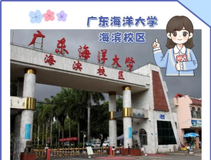 广东海洋大学中外合作办学怎么样 广东海洋大学中外合作办学怎么样