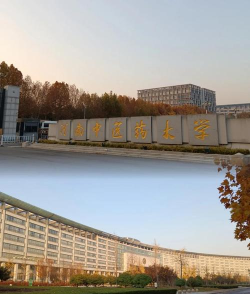 河南中医药大学中外合作办学怎么样 河南中医药大学中外合作办学怎么样