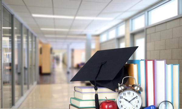 2024年社会学专业要读几年 2024年社会学专业要读几年