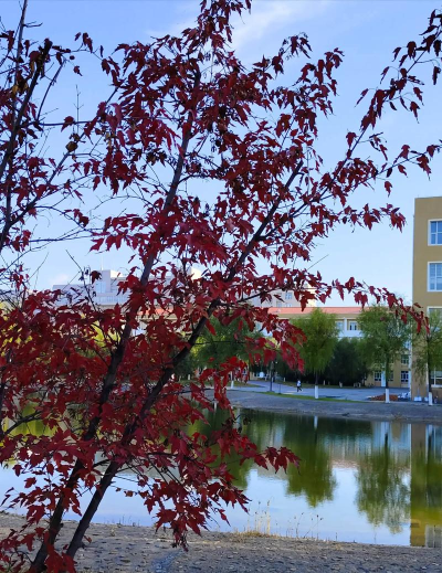 黑龙江八一农垦大学VS山东工程职业技术大学哪个实力更强 黑龙江八一农垦大学VS山东工程职业技术大学哪个实力更强